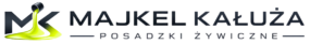 logotyp 2a
